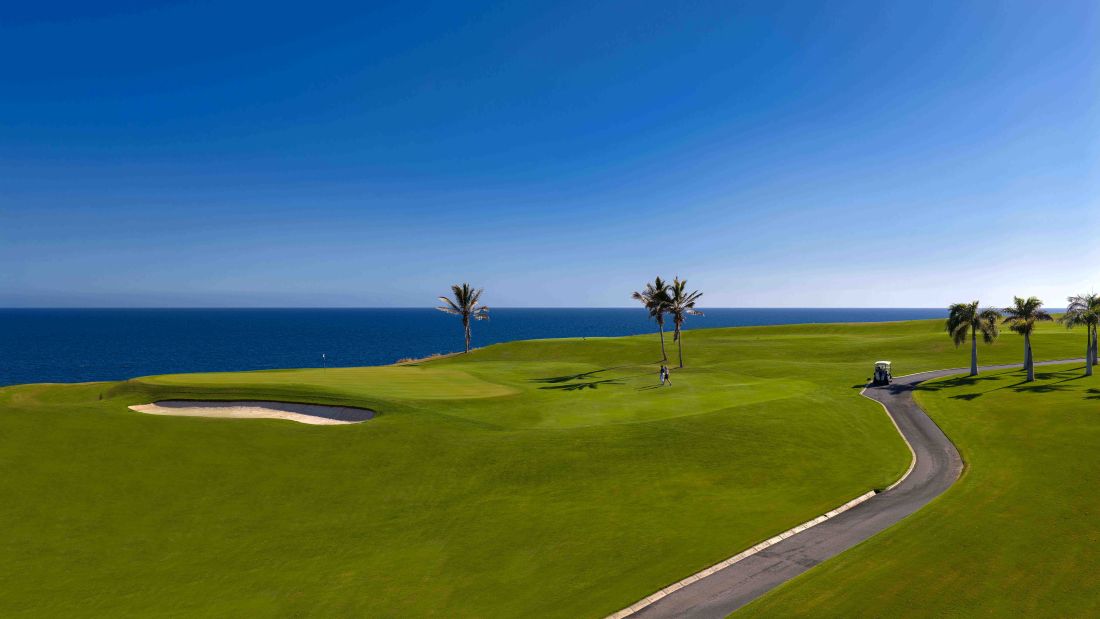 Palm trees with clear blue sky overhead at Lopesan Meloneras golf club