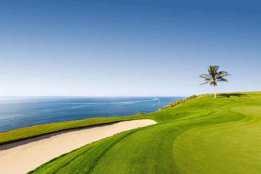 Sand bunker to the left and palm tree behind at Lopesan Melonares golf course