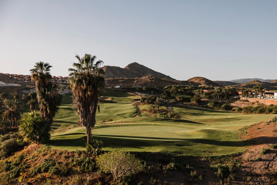 Palm trees overlooking the golf course at Salobre Golf in Gran Canaria