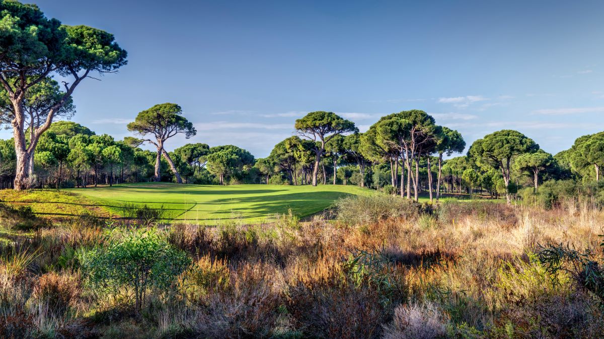 Rough in front of the fairway at Cornelia Faldo Golf Club