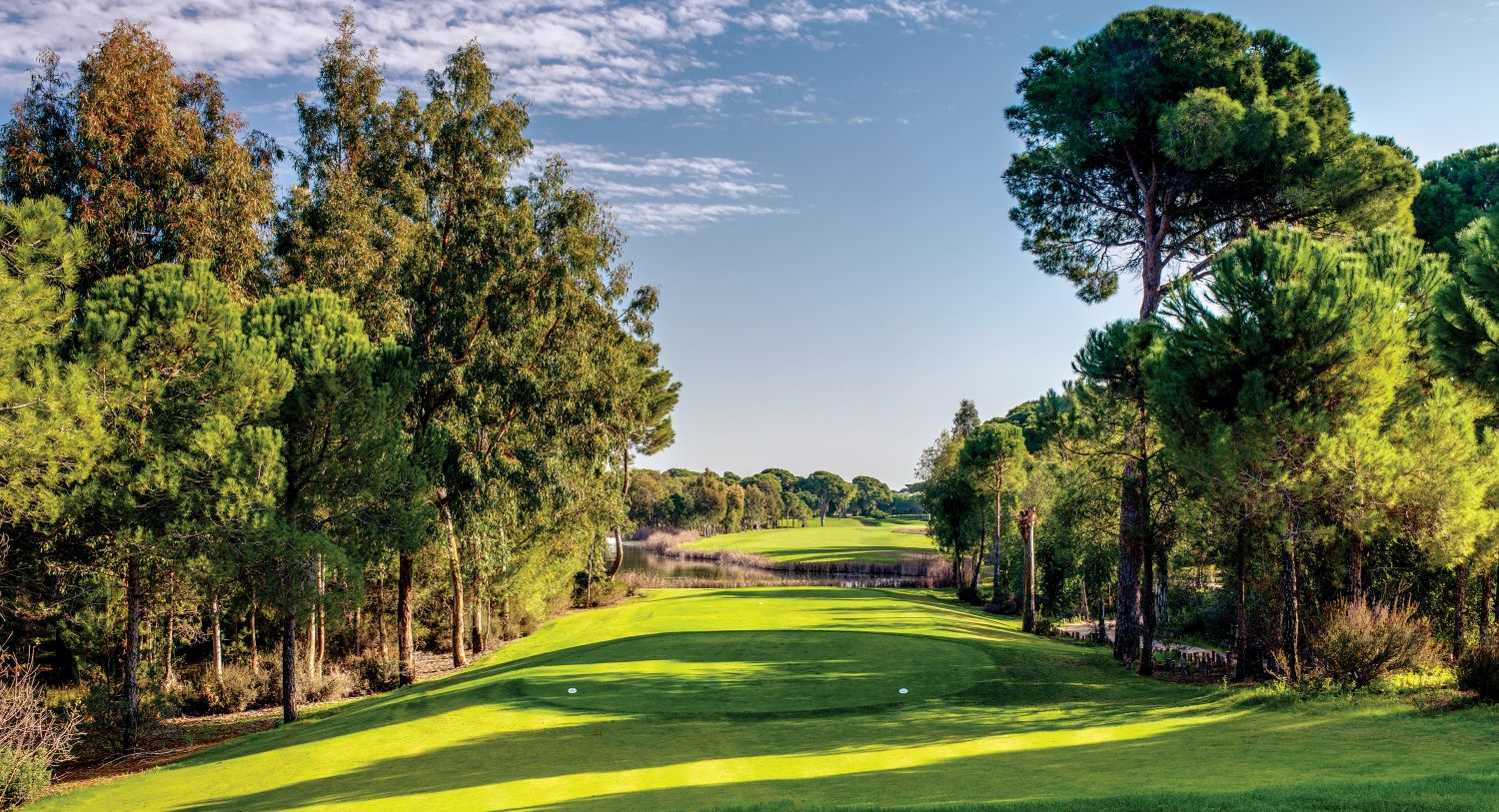 Fairway at Cornelia Faldo Golf Course