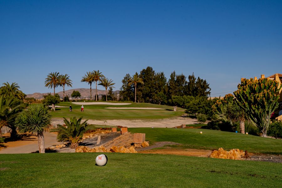 View from the tee box to the green at Valle Del Este Golf Resort