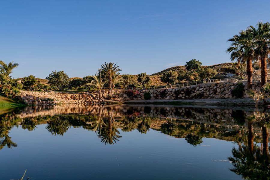 Lake by the golf course at Valle Del Este Golf Resort