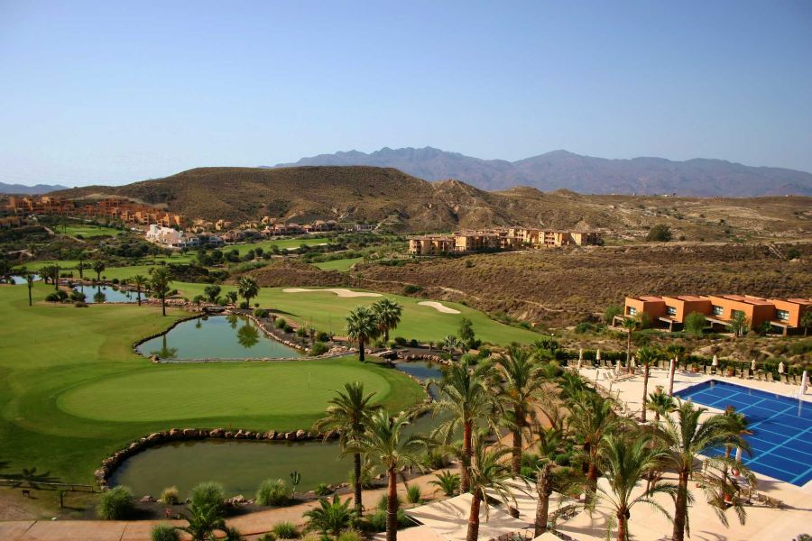 Mountains in the distance of the golf course with palm trees below at Valle Del Este Golf Resort