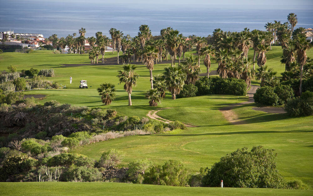 golf del sur 3