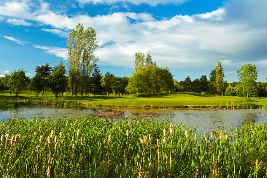 Lake in front of the golf course with long grass in the foreground at Belton Woods Hotel, Spa And Golf Resort