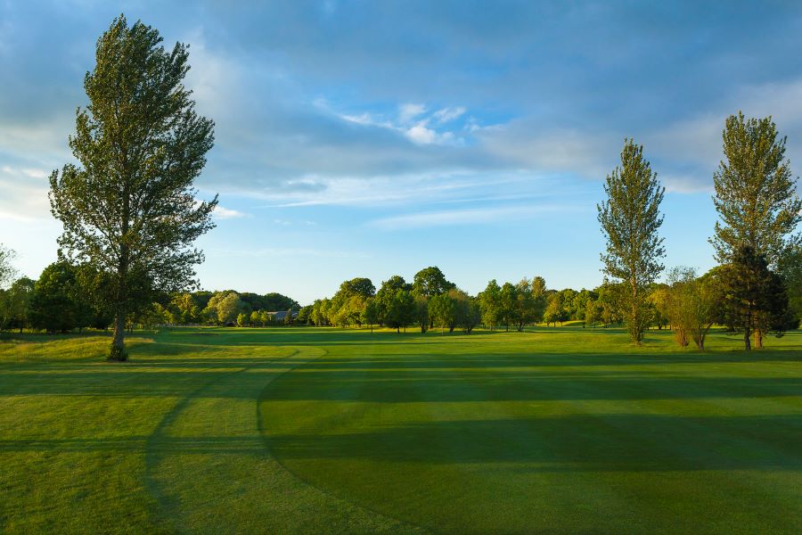 Green trees over the golf course with blue sky at Belton Woods Hotel, Spa And Golf Resort