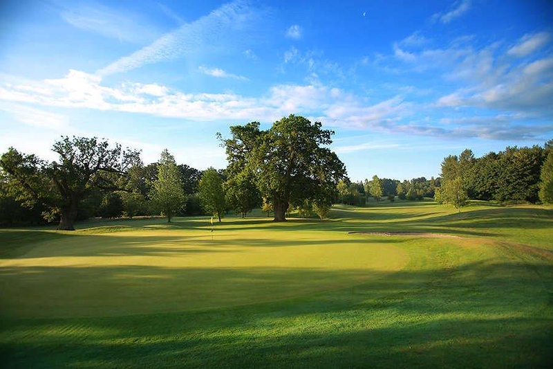 Large tree under blue sky on the golf course at Dunston Hall Golf And Spa