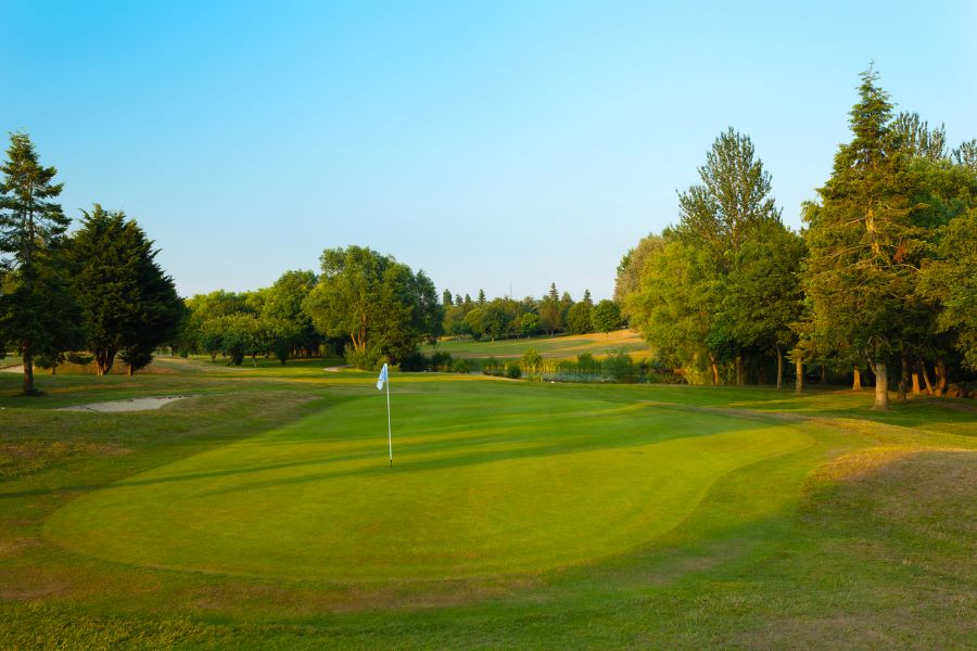 White flag on the putting green with green trees behind it at Dunston Hall Golf And Spa