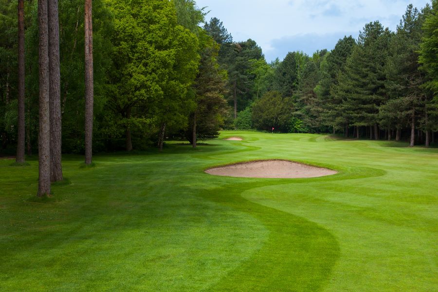 Green with trees and bunker surrounding at Forest Pines Hotel, Spa And Golf Resort