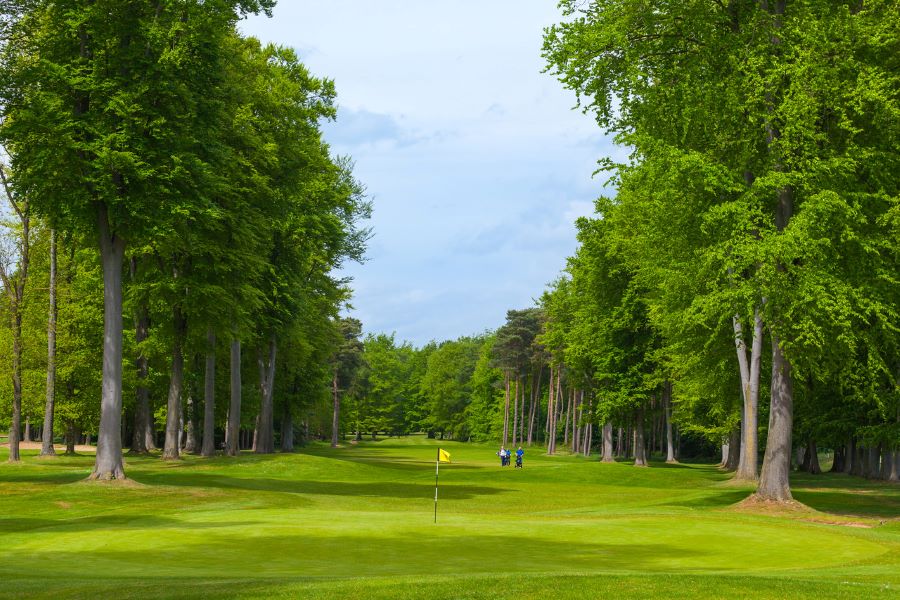 Yellow flag on the green at Forest Pines Hotel, Spa And Golf Resort