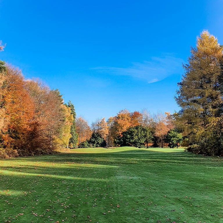 Autumn sunshine with blue sky over lush green grass at Forest Pines Hotel, Spa And Golf Resort