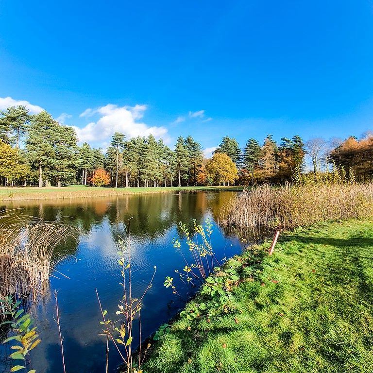 Blue lake at Forest Pines Hotel, Spa And Golf Resort