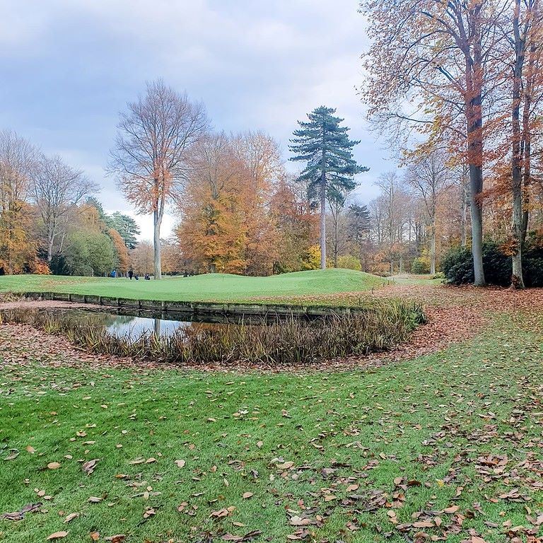 Autumn weather with brown leaves on the golf course
