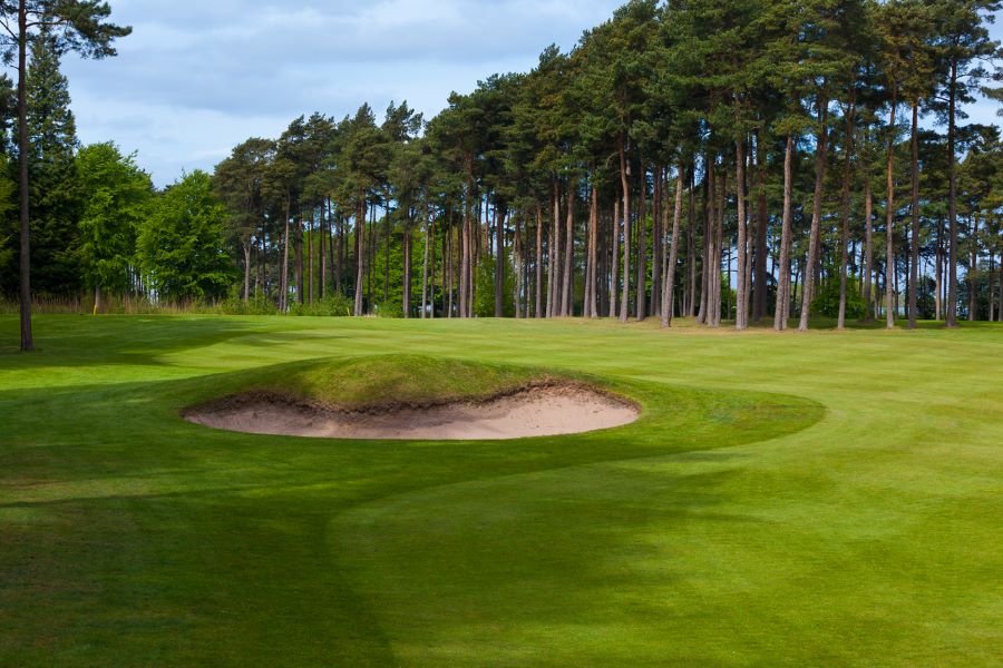 Pine trees lining the fairway and sand bunker protecting the green at Forest Pines Hotel, Spa And Golf Resort