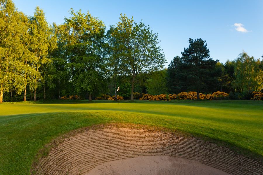 Deep sand bunker protecting the green with yellow pin at Forest Pines Hotel, Spa And Golf Resort