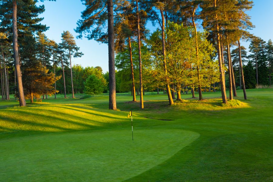 Lush green fairways at Forest Pines Hotel, Spa And Golf Resort with putting green in the centre