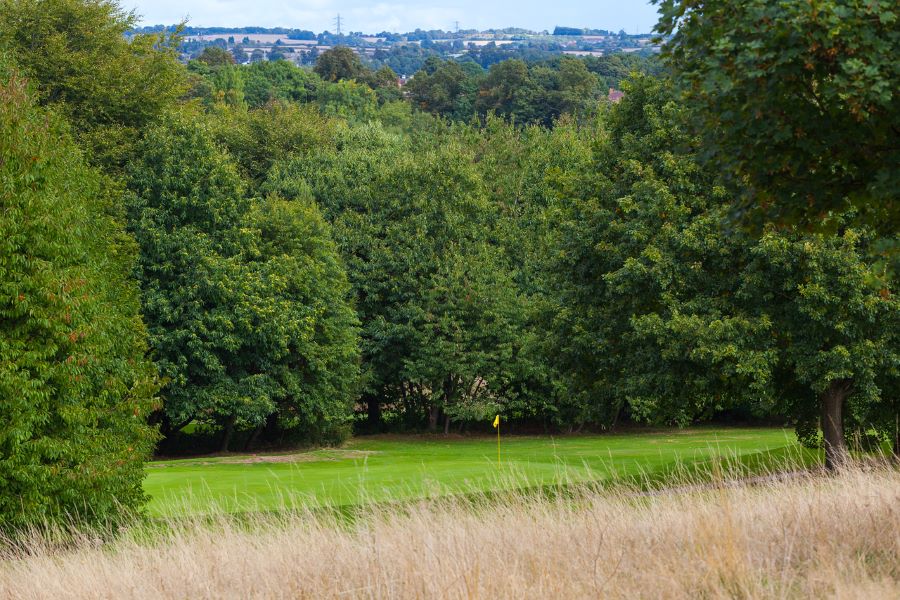 Green tree forest behind the putting green and long grass in the foreground at Oulton Hall Golf Hotel And Spa