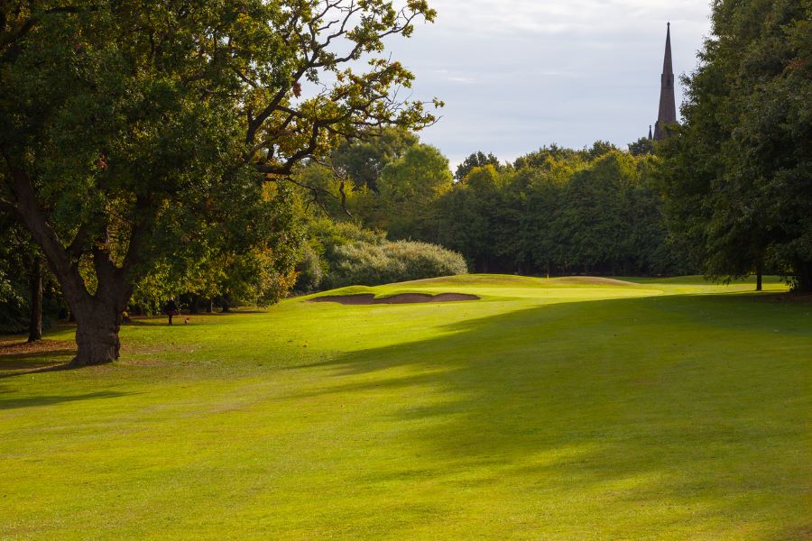 Green leafy tree to the left of the fairway at Oulton Hall Golf Hotel And Spa