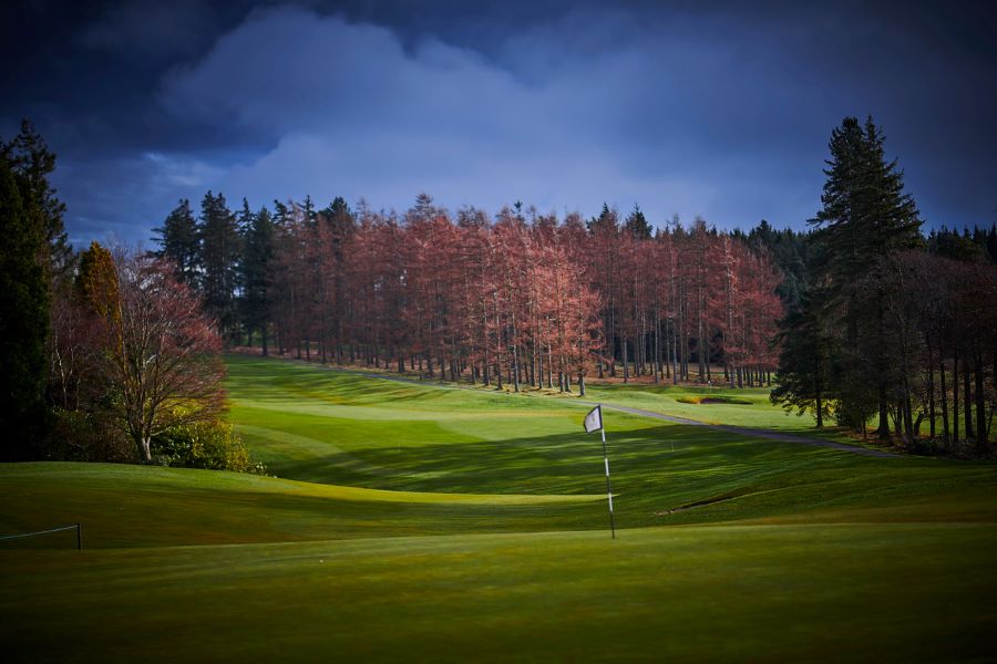 Trees in the distance of the golf course at Slaley Hall Hotel, Spa And Golf Resort