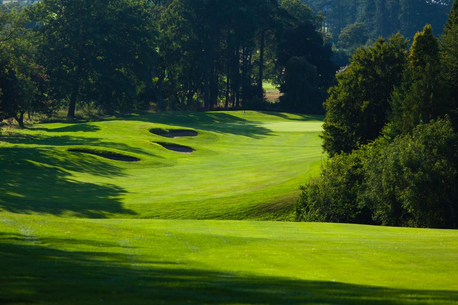 Green trees protect the fairways at Slaley Hall Hotel, Spa And Golf Resort
