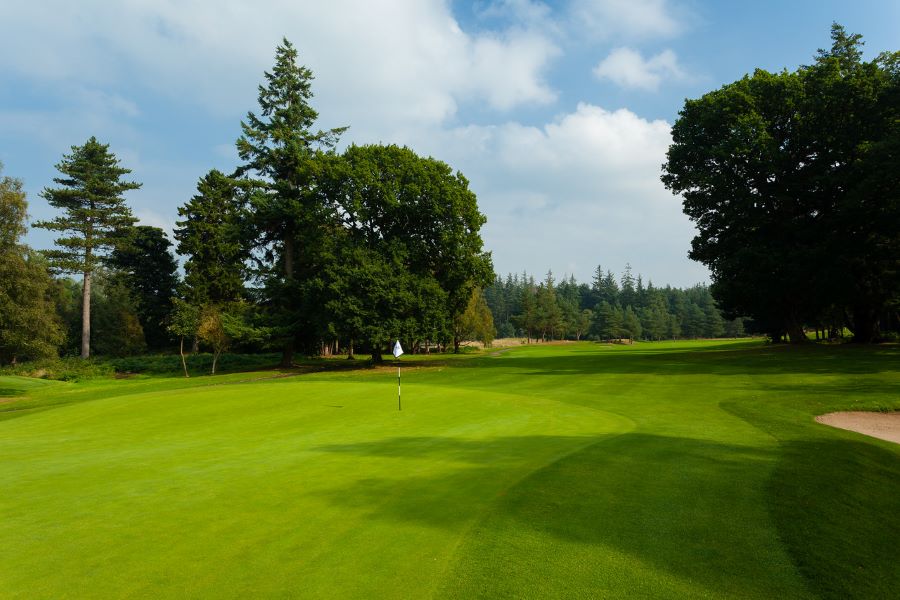 Green trees around the putting green at Slaley Hall Hotel, Spa And Golf Resort