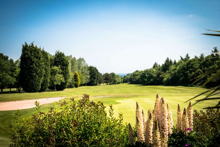 Blue sky over the golf course with plants in the foreground at The Telford Hotel, Spa And Golf Resort