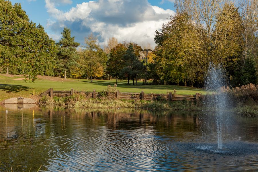 Lake in the foreground and plants in the distance at The Telford Hotel, Spa And Golf Resort