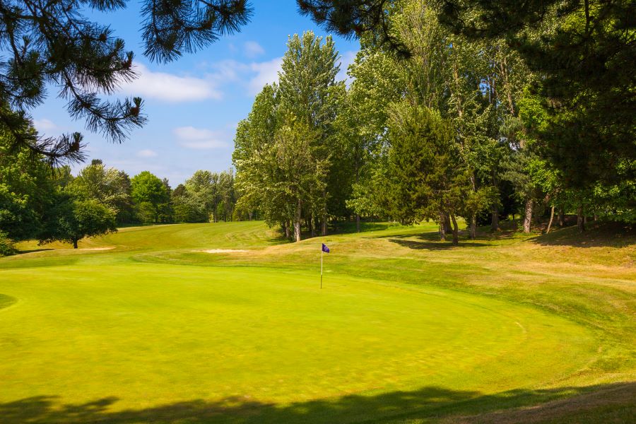 Green grass on the putting green at The Telford Hotel, Spa And Golf Resort