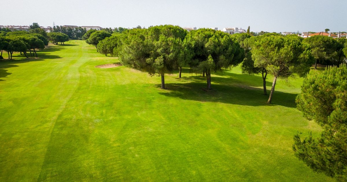 Green trees on golf course at Nuevo Portil Golf