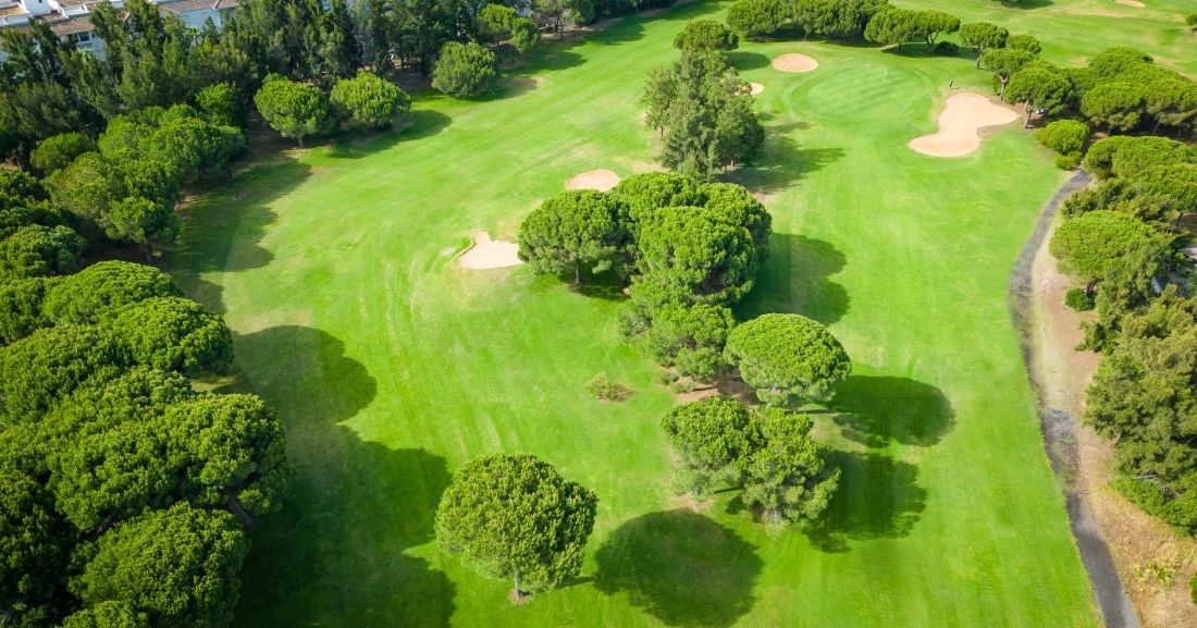 Bushes and trees overhead at Nuevo Portil Golf
