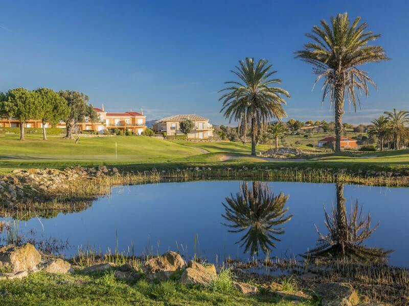 Lake with palm trees and flag in the distance at Boavista Golf Course