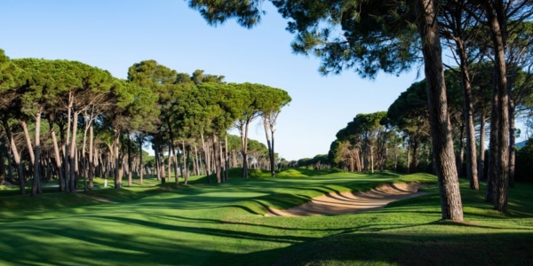 Trees lining fairway of Emporda Golf Course in Girona, Spain