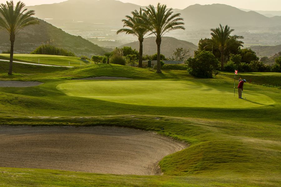 Palm tree over the putting green at Font Del Llop