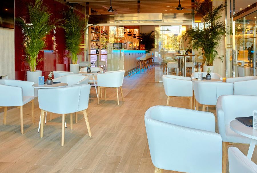 Seats in the bar area with red wall and fake plants at Melia Alicante