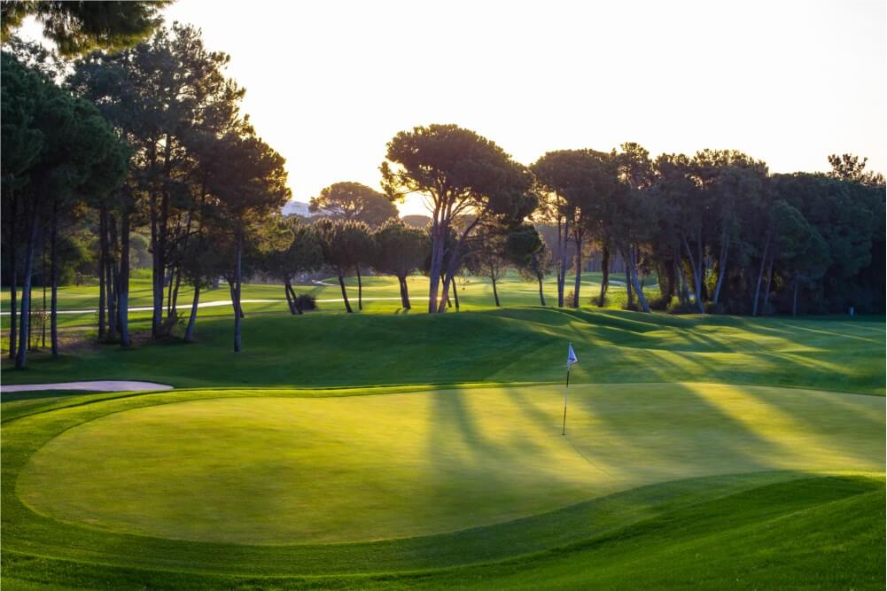 Putting green on the Montgomerie golf course at Maxx Royal Golf And Spa Resort