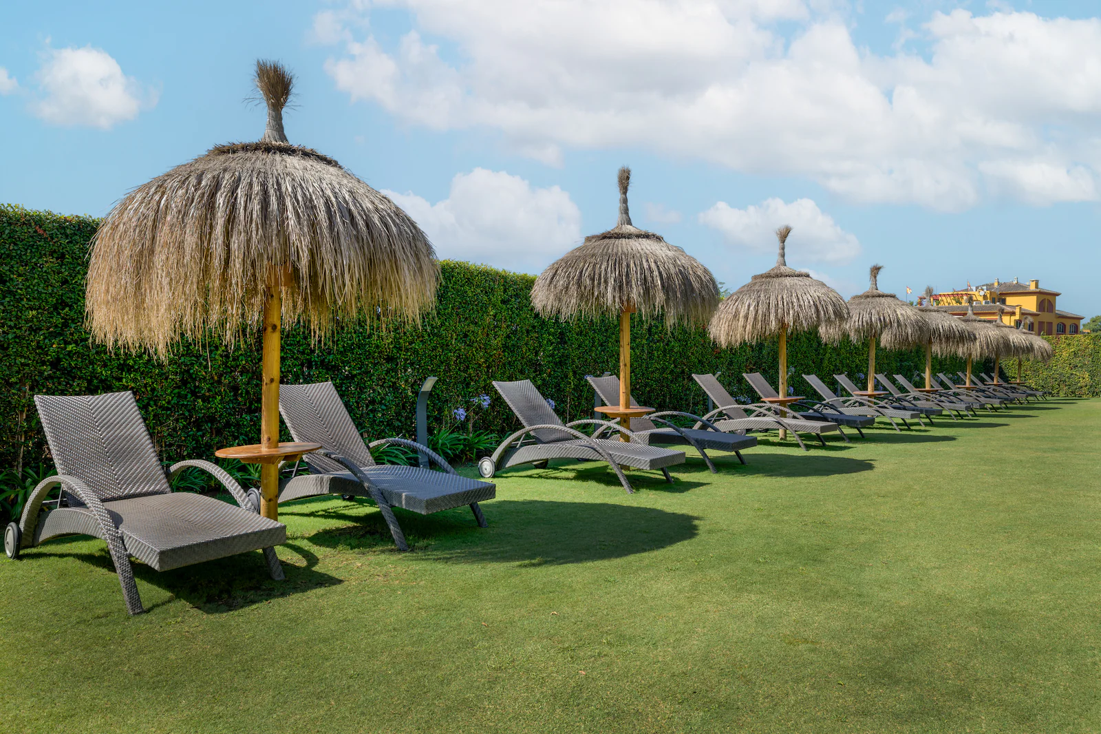 Sun loungers and parasols lined up on grass at NH Collection Marbella