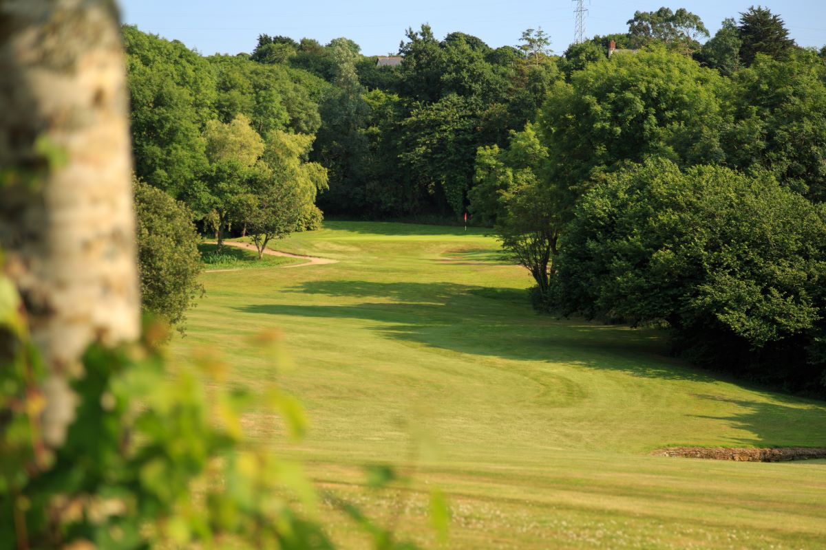 Long fairway shot with trees surrounding the course at Bowood Park Hotel