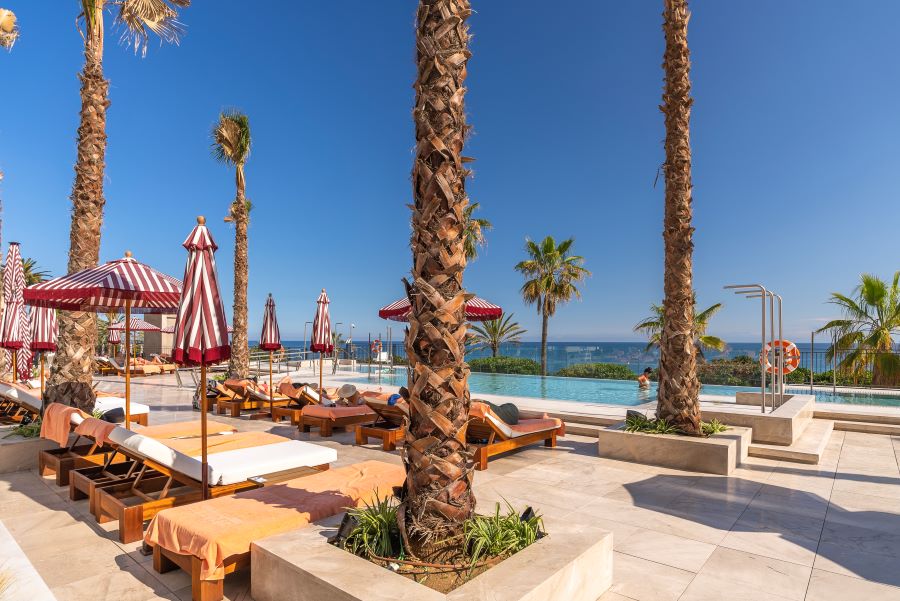 Palm trees overlooking pool at El Fuerte Marbella Hotel