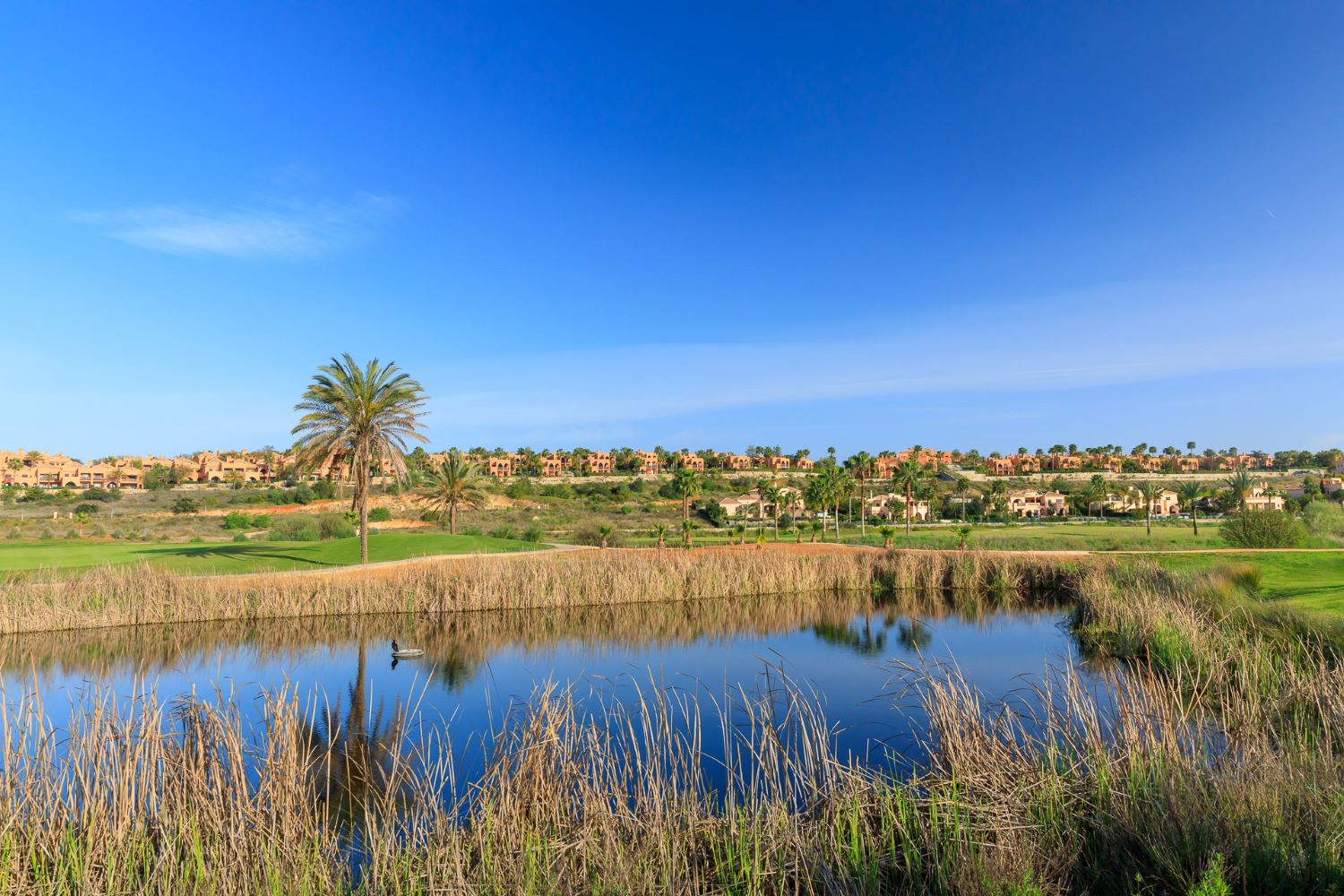 Lake protecting the fairway at Amendoeira Golf Resort