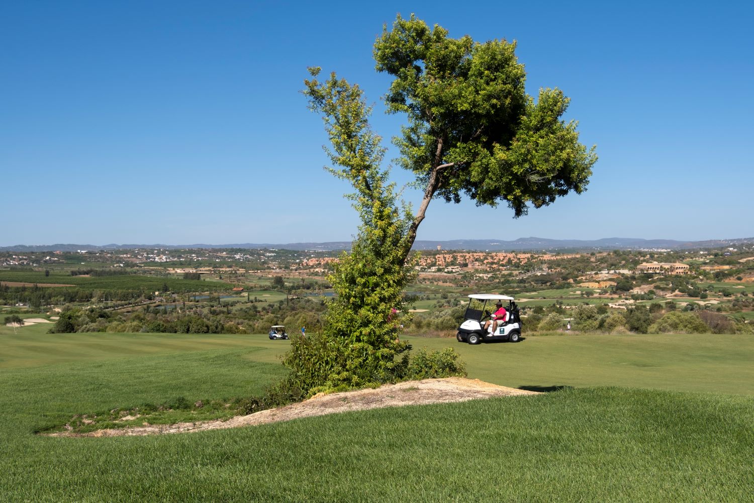 Buggy behind the tree at Amendoeira Golf Resort