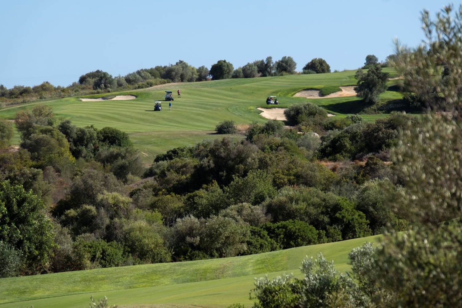 Golfers ahead approaching the green at Faldo Golf Course