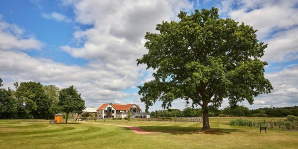 Large green tree on the golf course at Sandburn Hall with club house in the distance