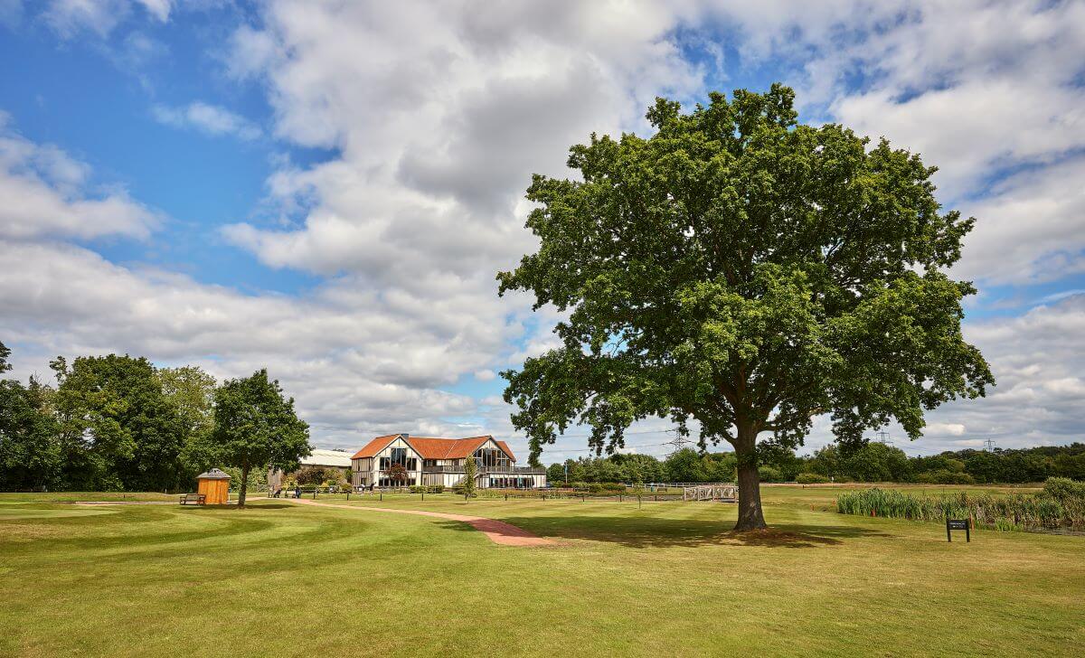 Large green tree on the golf course at Sandburn Hall with club house in the distance