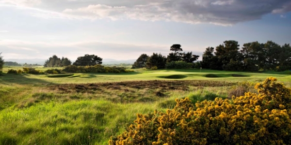 Shrubbery in front of the green at Irvine Golf Club