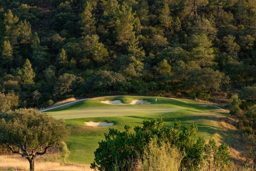 Green at Ombria Golf Resort with bunkers protecting it, sheltering the green trees in the background