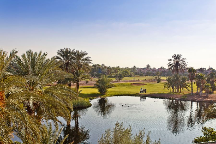 Water on lake with palm trees to the left at Golf Club Palmeraie Marrakech