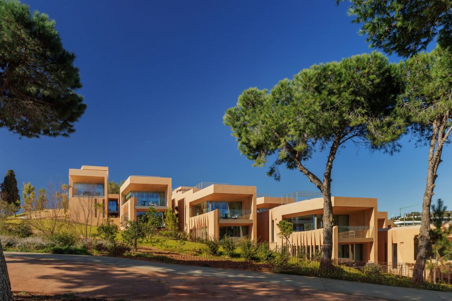 Tree in front of apartments at Palmares Signature Apartments