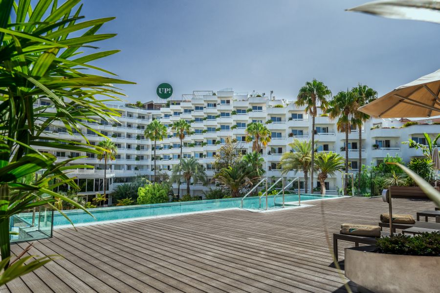 Palm trees decorating the pool at Spring Hotel Vulcano