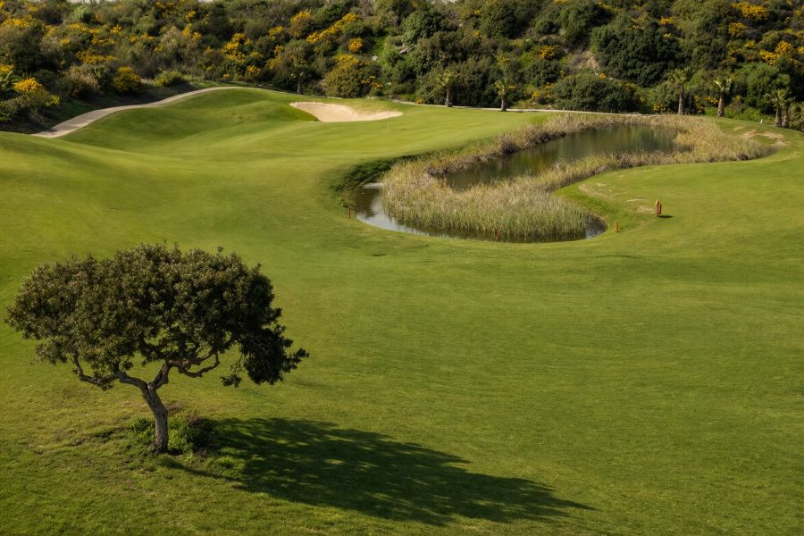 Lush green fairways on Azata Golf's course